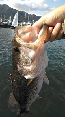 IMG_20181105_141719.jpg