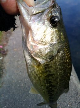 2011-12-14 09.52.05.jpg
