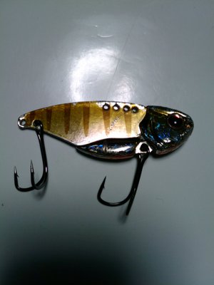 51センチ