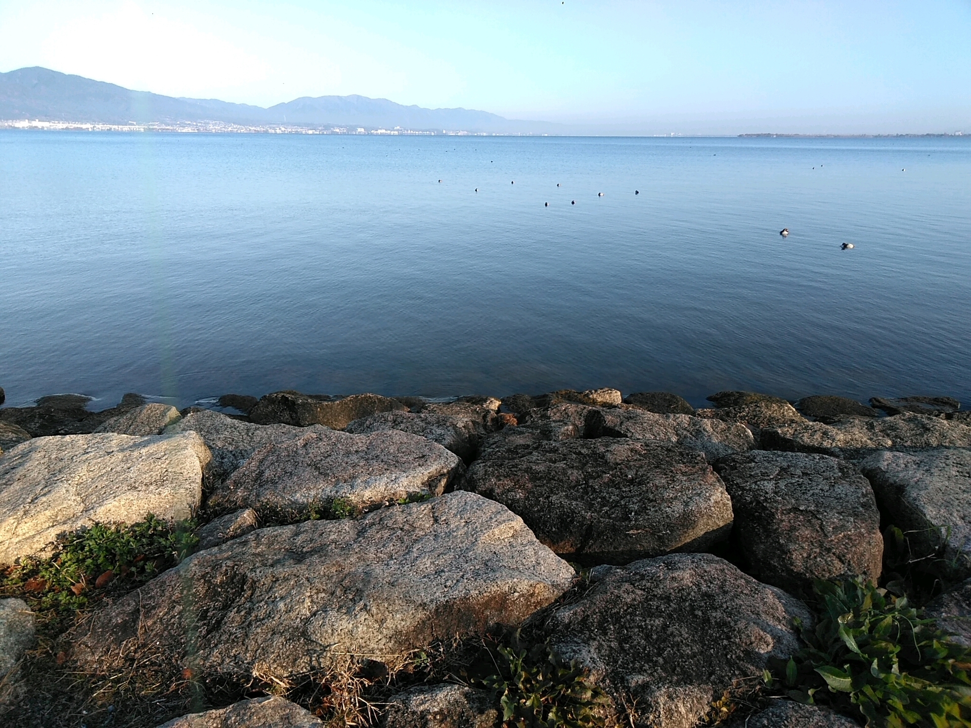 琵琶湖と三重県で バス釣り